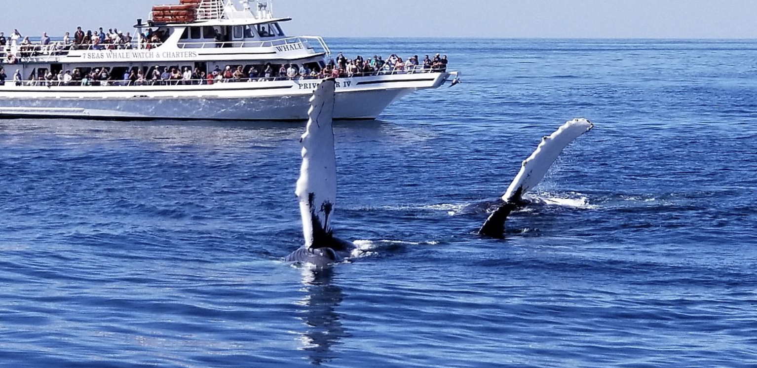 Screen Shot 2025-10-27 at 10.31.48 AM