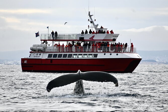 Cape Ann Whale Watch