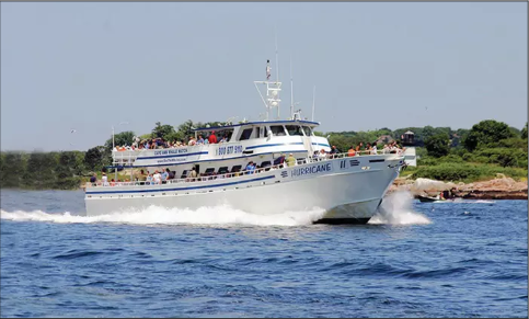 Cape Ann Whale Watch